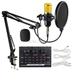 BM800 Condenser Microphone With V8 Sound Card