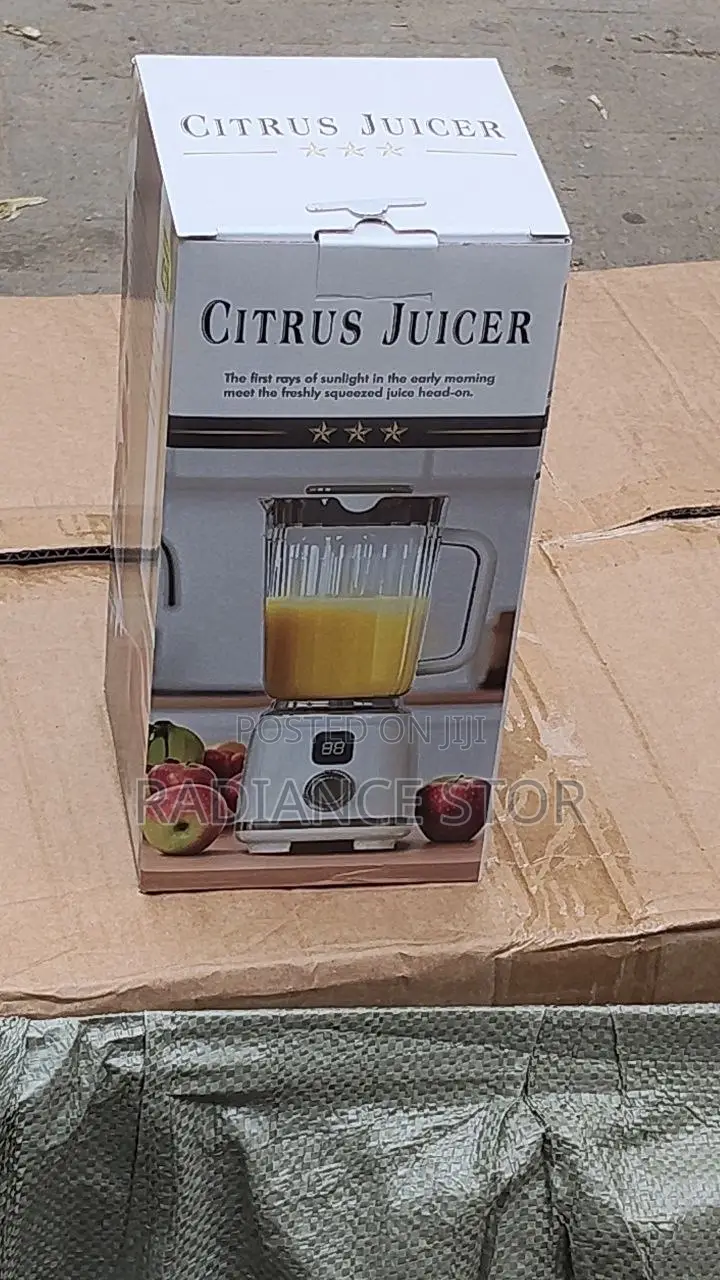 Mini Rechargeable Fruit Blender