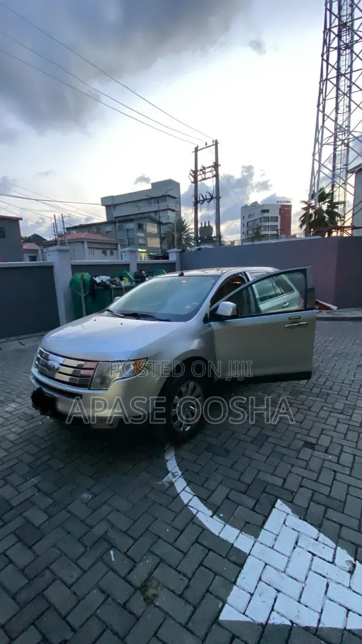 Ford Edge 2008 Silver