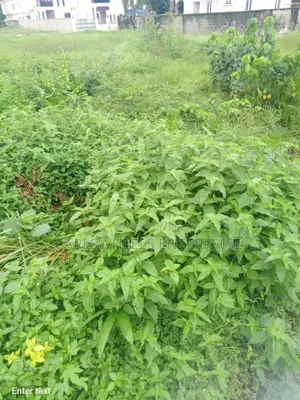 1070 Square Meter Land Available in Mayfair Garden Estate Ibeju Lekki