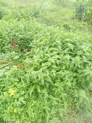 450 Square Meter Land Available in Mayfair Garden Estate Ibeju Lekki.