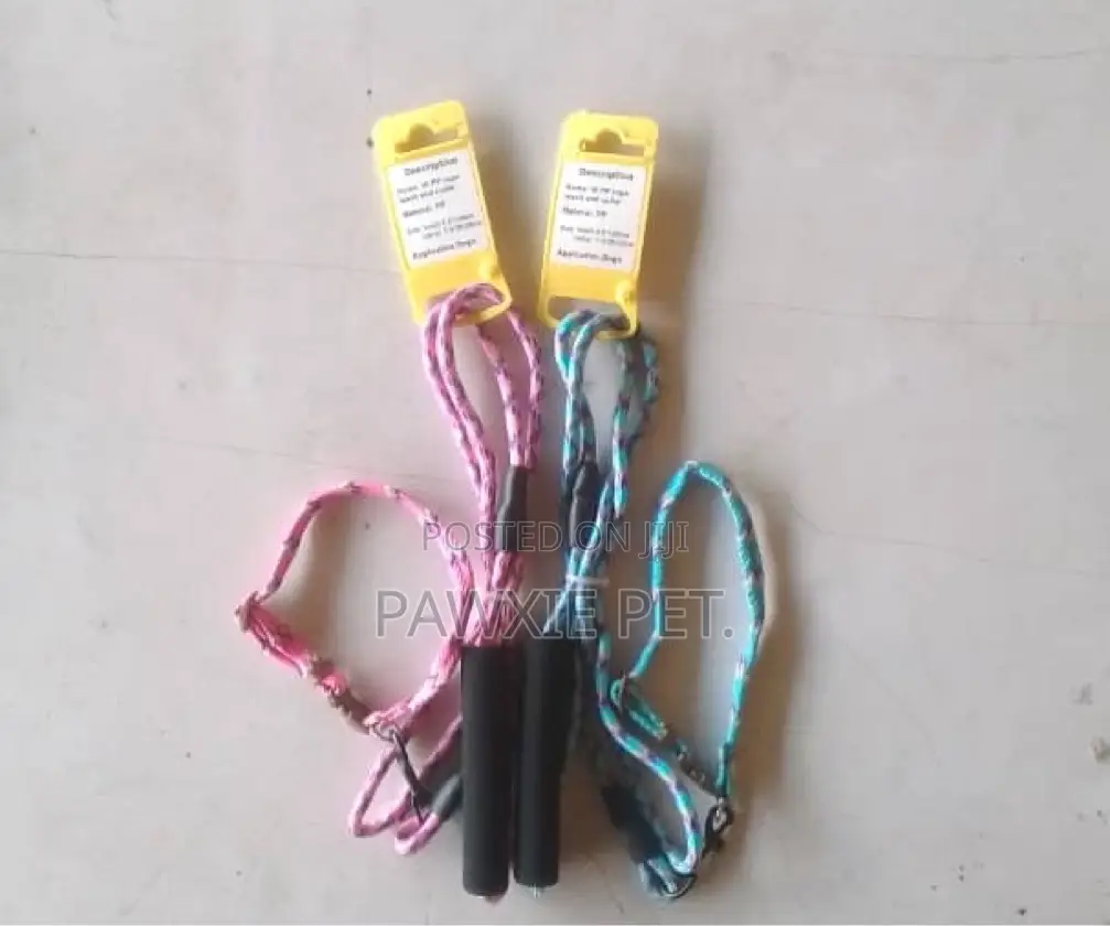 W Design Rope Lead and Collar