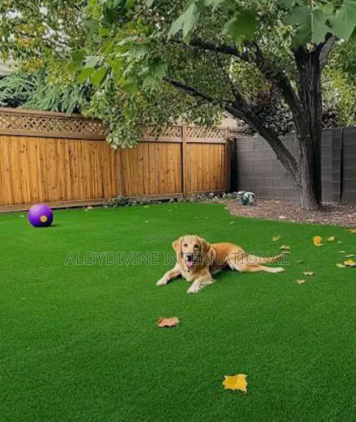 Hard Base Turf Grass Carpet