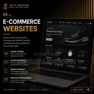 Professional Website
