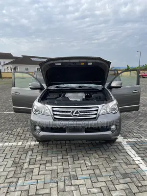 Lexus GX 2013 Gray