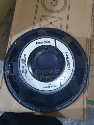 18" Naked Speaker