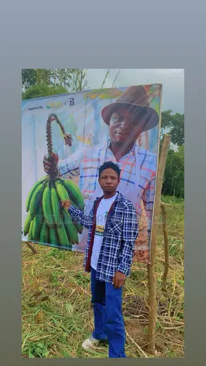 Plantain Village Farm Investment