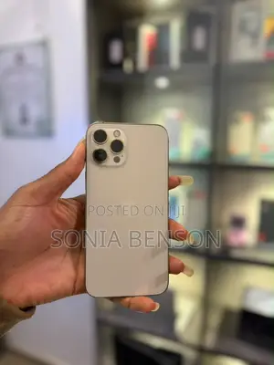 Apple iPhone 12 Pro Max 256 GB Silver
