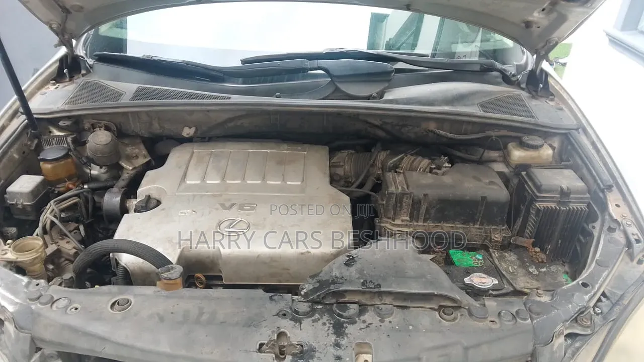 Lexus RX 2007 Gray