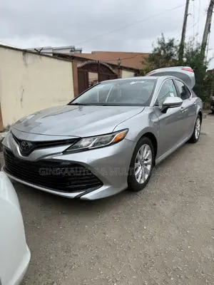 Toyota Camry L FWD 2020 Gray