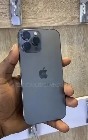 Apple iPhone 13 Pro Max 128 GB Gray