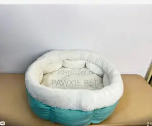 Short Fur Cozy Donut Bed With Removable Pillow