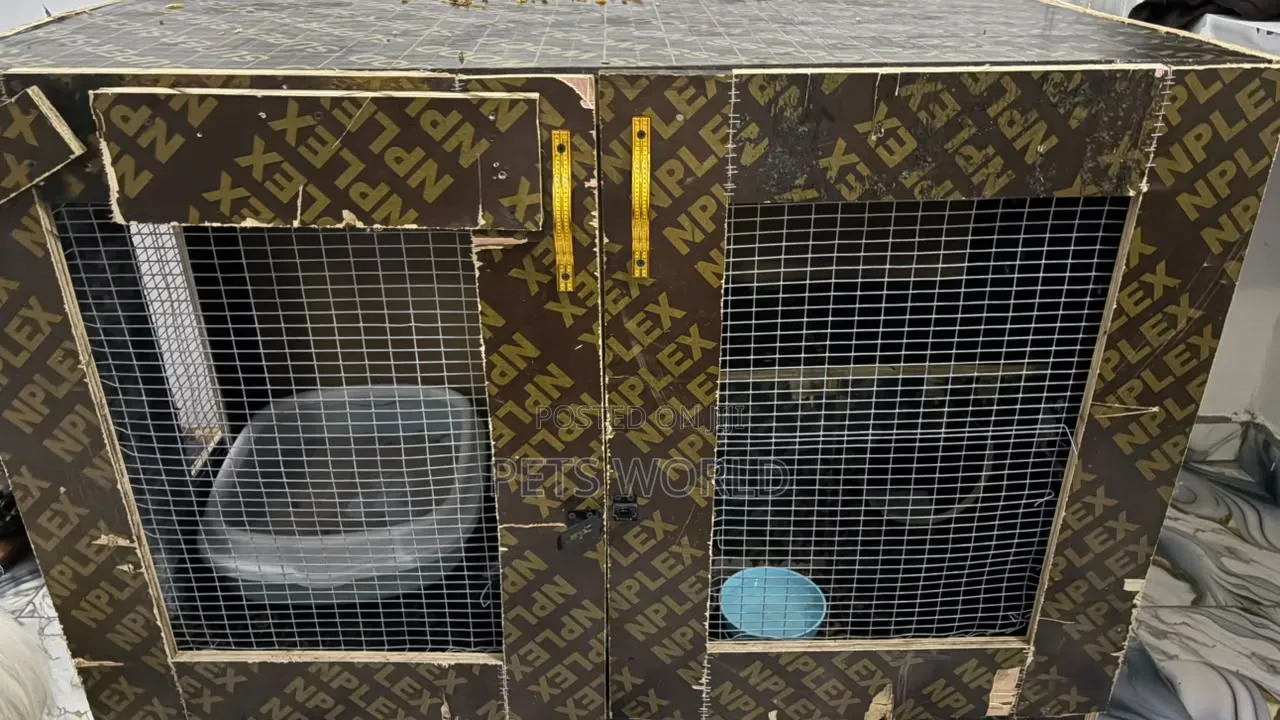 Cat House With Inner Room