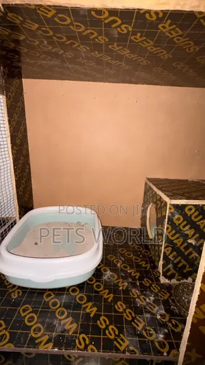 Cat House With Inner Room