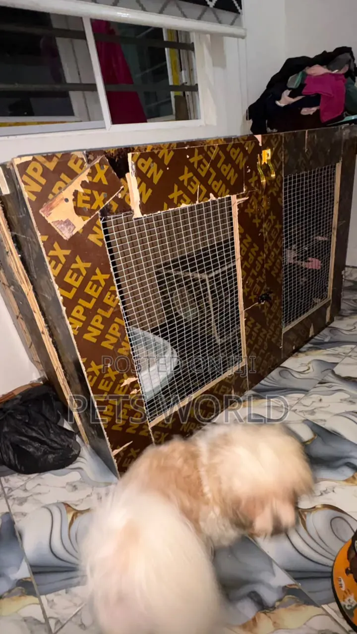 Cat House With Inner Room