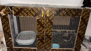 Very Big House With Inner Tent for Cats