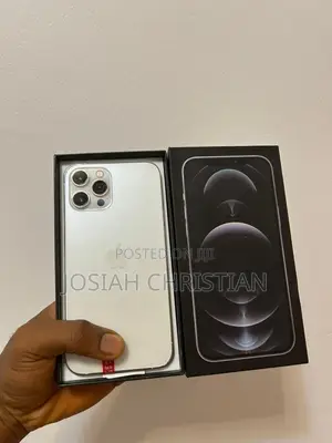Apple iPhone 12 Pro Max 128 GB Silver
