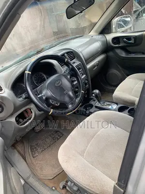 Hyundai Santa Fe 2005 Silver