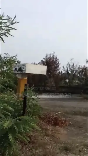 Mega Fuel Station