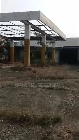 Mega Fuel Station