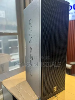 Stage King Double 10inches Line Array