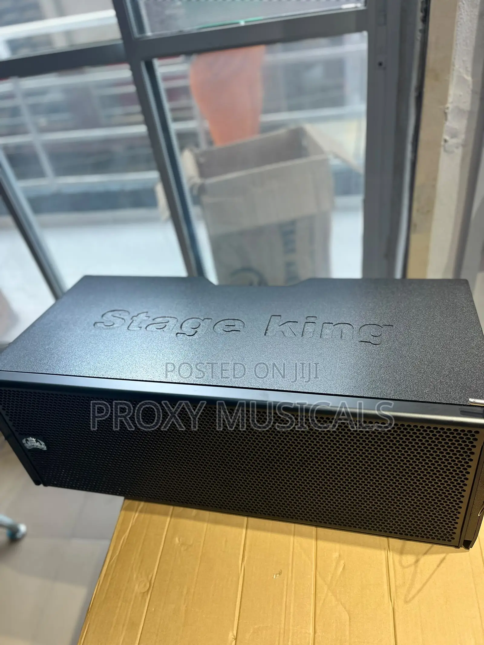 Stage King 10inches Line Array
