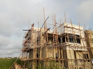 Luxury Wall Screeding