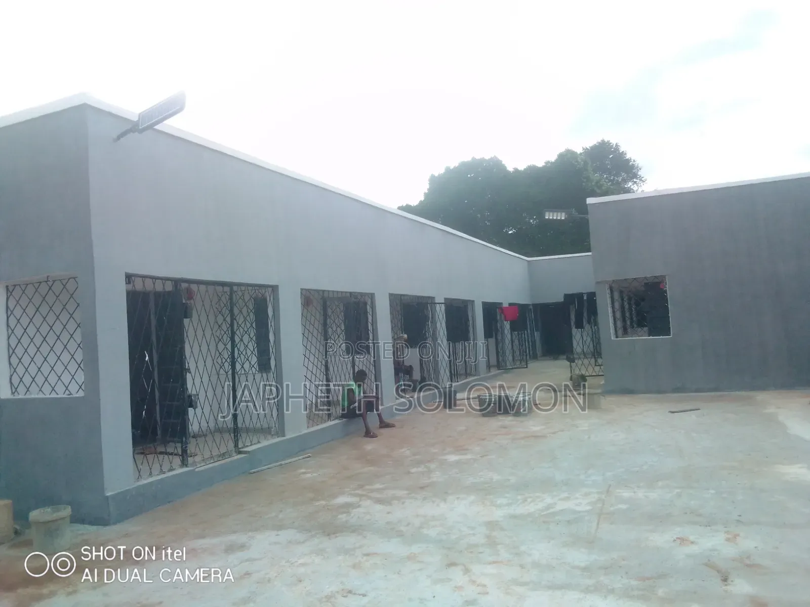 Screeding/Luxury Painting Services