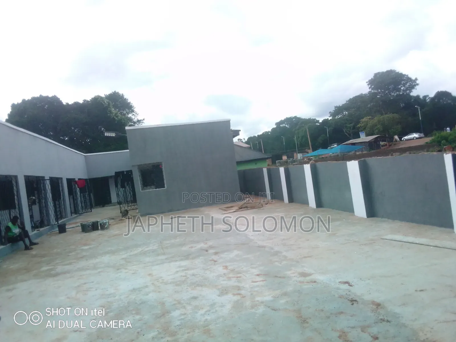 Screeding/Luxury Painting Services