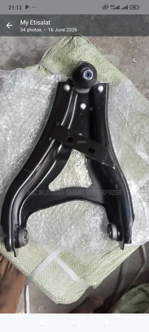 Lower Arm (Suspension Arm) for RENAULT DUSTER