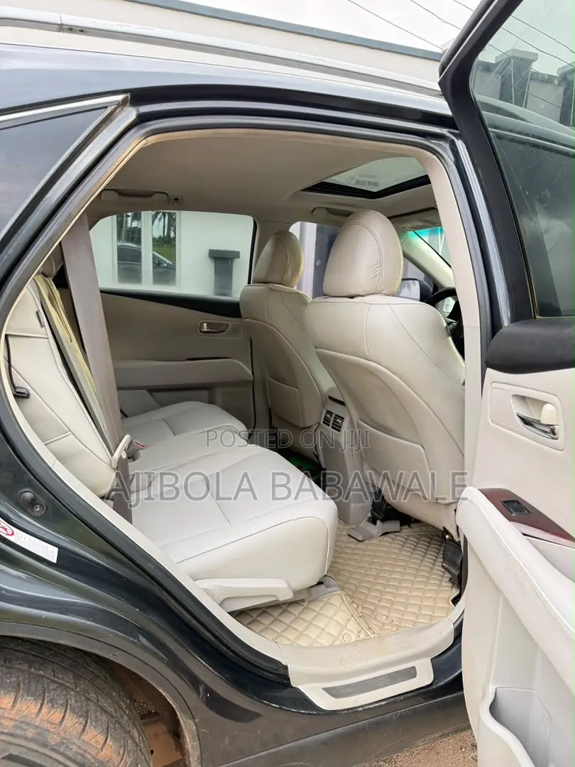 Lexus RX 2010 Gray
