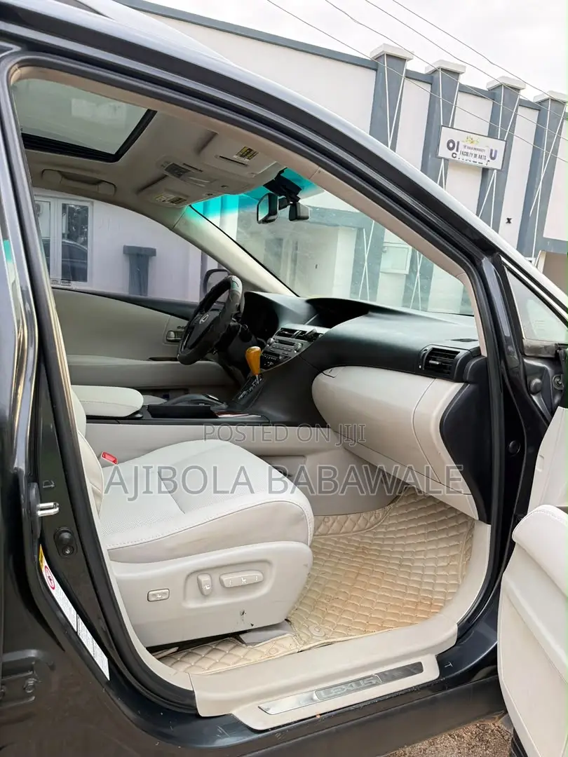 Lexus RX 2010 Gray