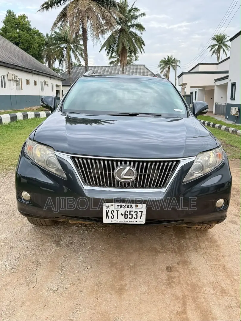 Lexus RX 2010 Gray