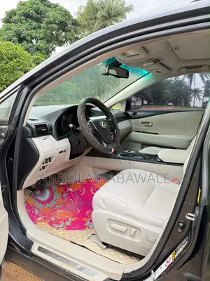 Lexus RX 2010 Gray