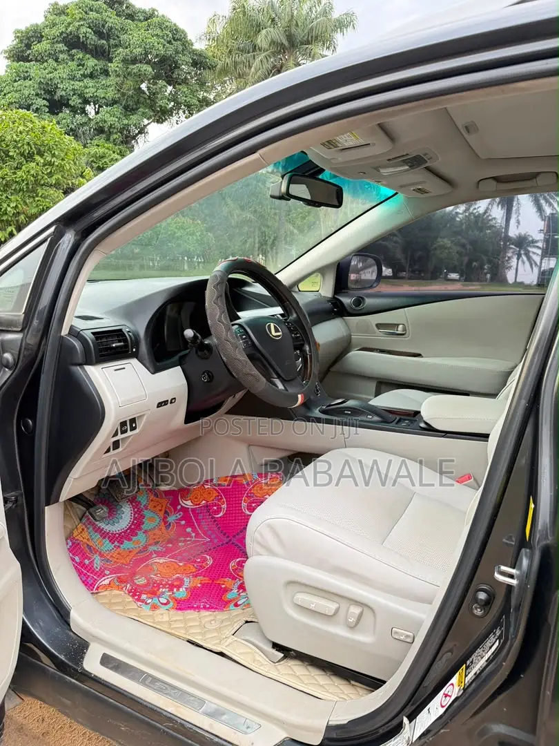 Lexus RX 2010 Gray