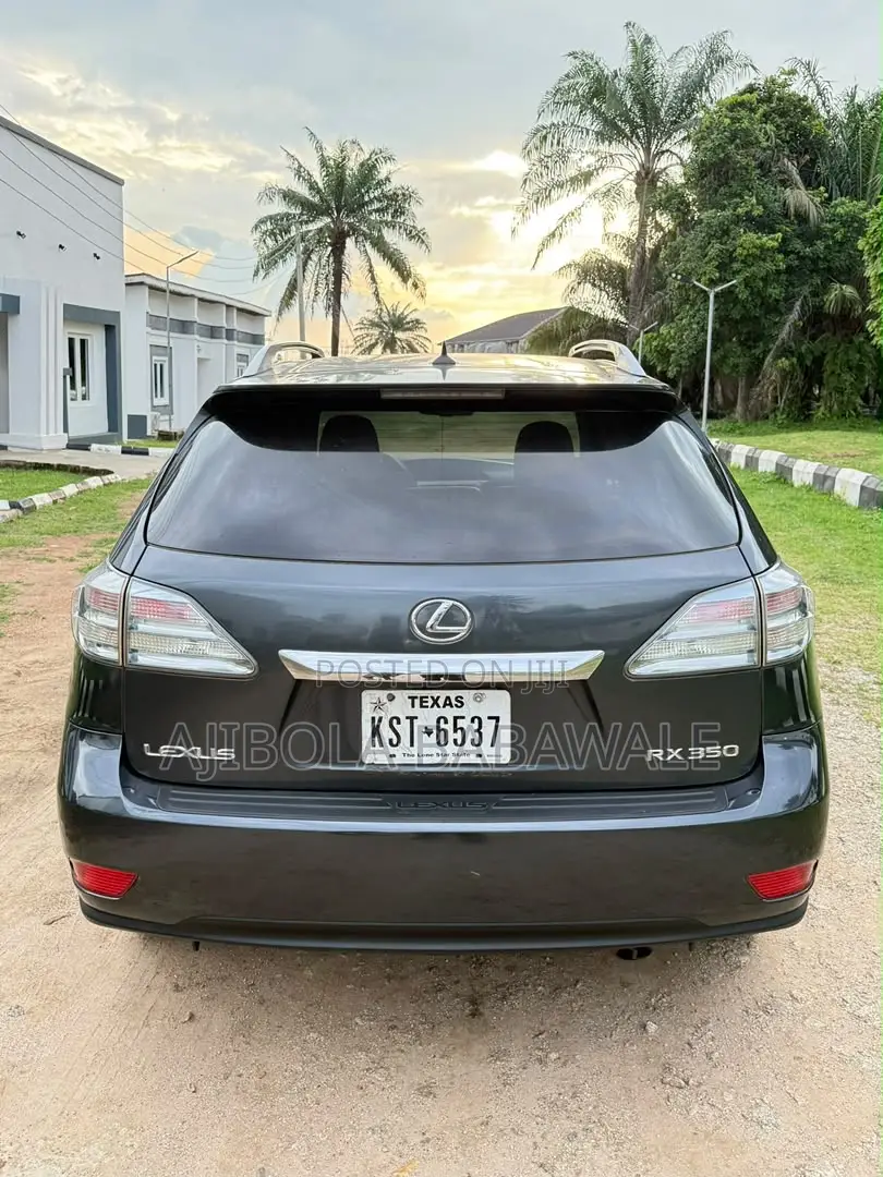 Lexus RX 2010 Gray