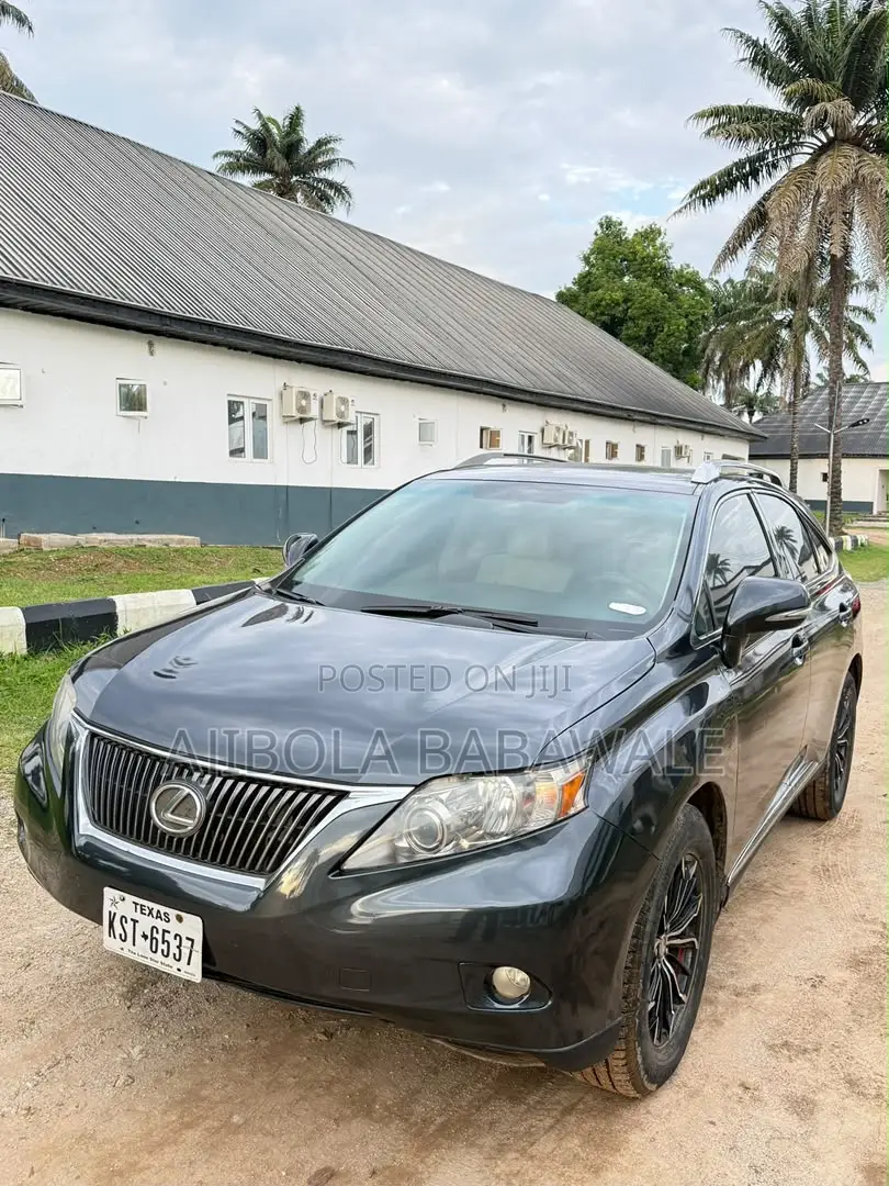 Lexus RX 2010 Gray