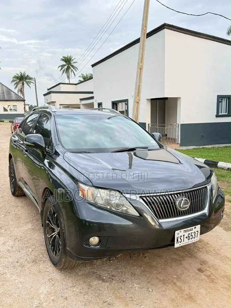 Lexus RX 2010 Gray