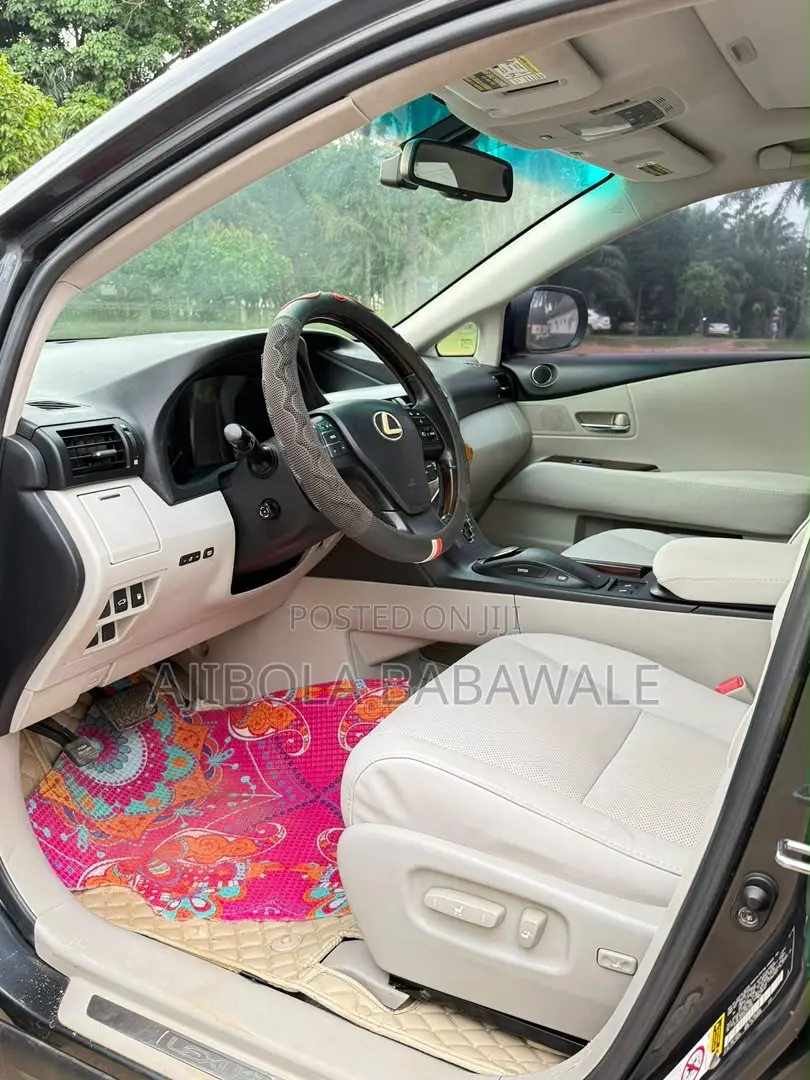 Lexus RX 2010 Gray