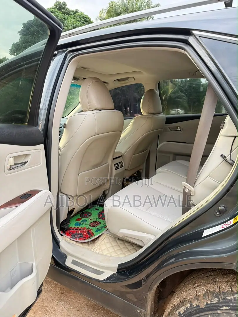 Lexus RX 2010 Gray
