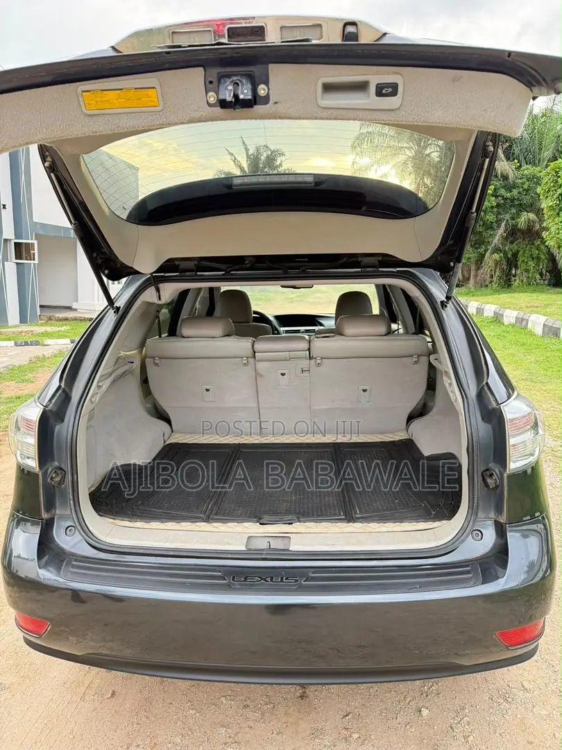 Lexus RX 2010 Gray
