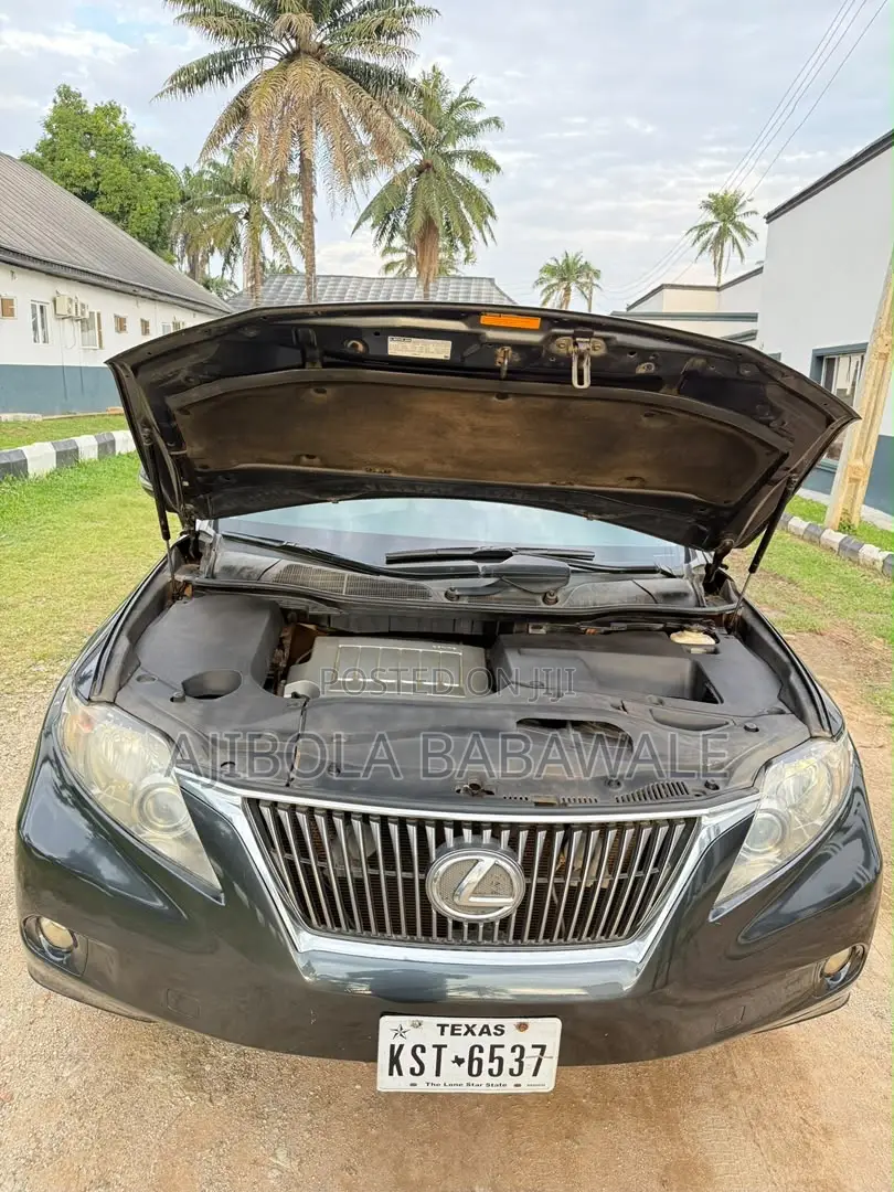 Lexus RX 2010 Gray