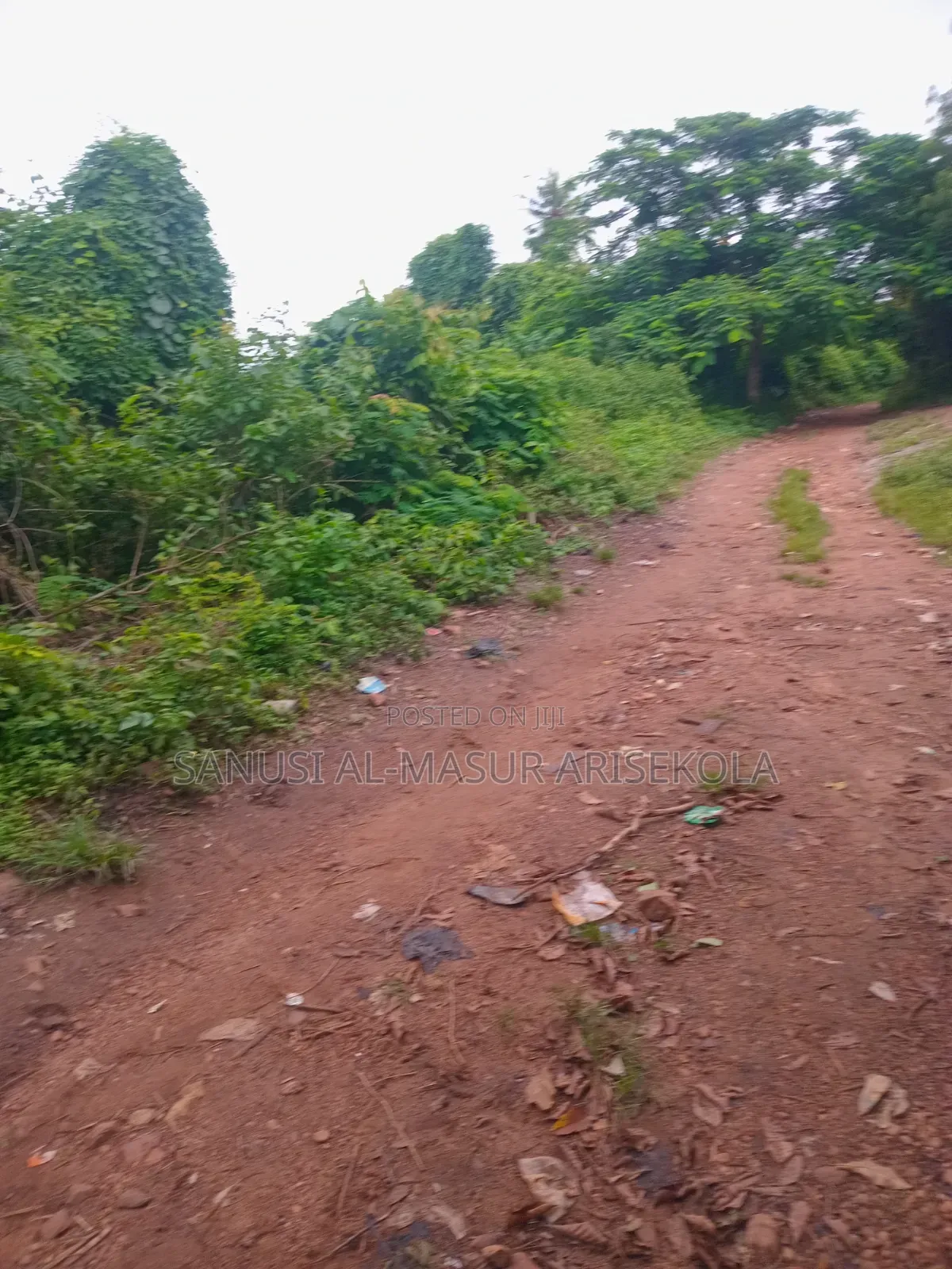 Land for Cocoafarm Poultry