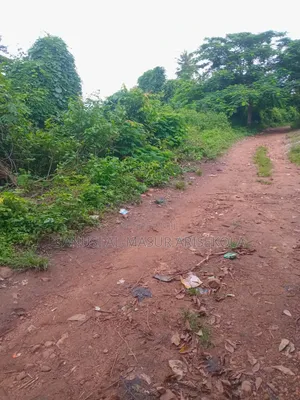 Land for Cocoafarm Poultry