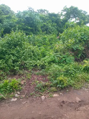 Land for Cocoafarm Poultry