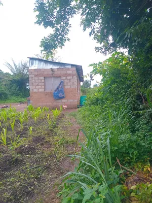 Land for Cocoafarm Poultry