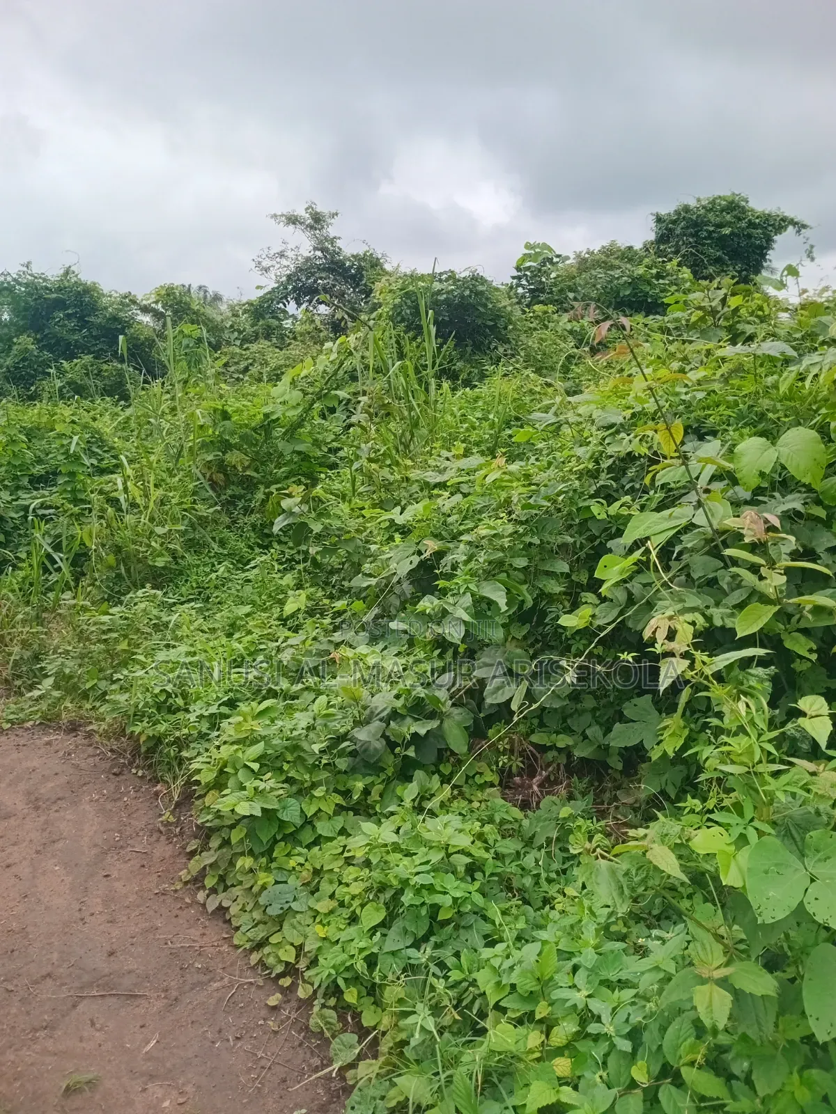 Land for Cocoafarm Poultry