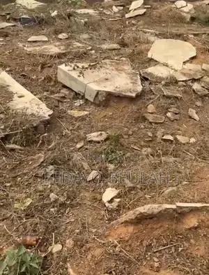 Commercial Land