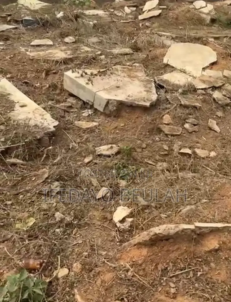 Commercial Land