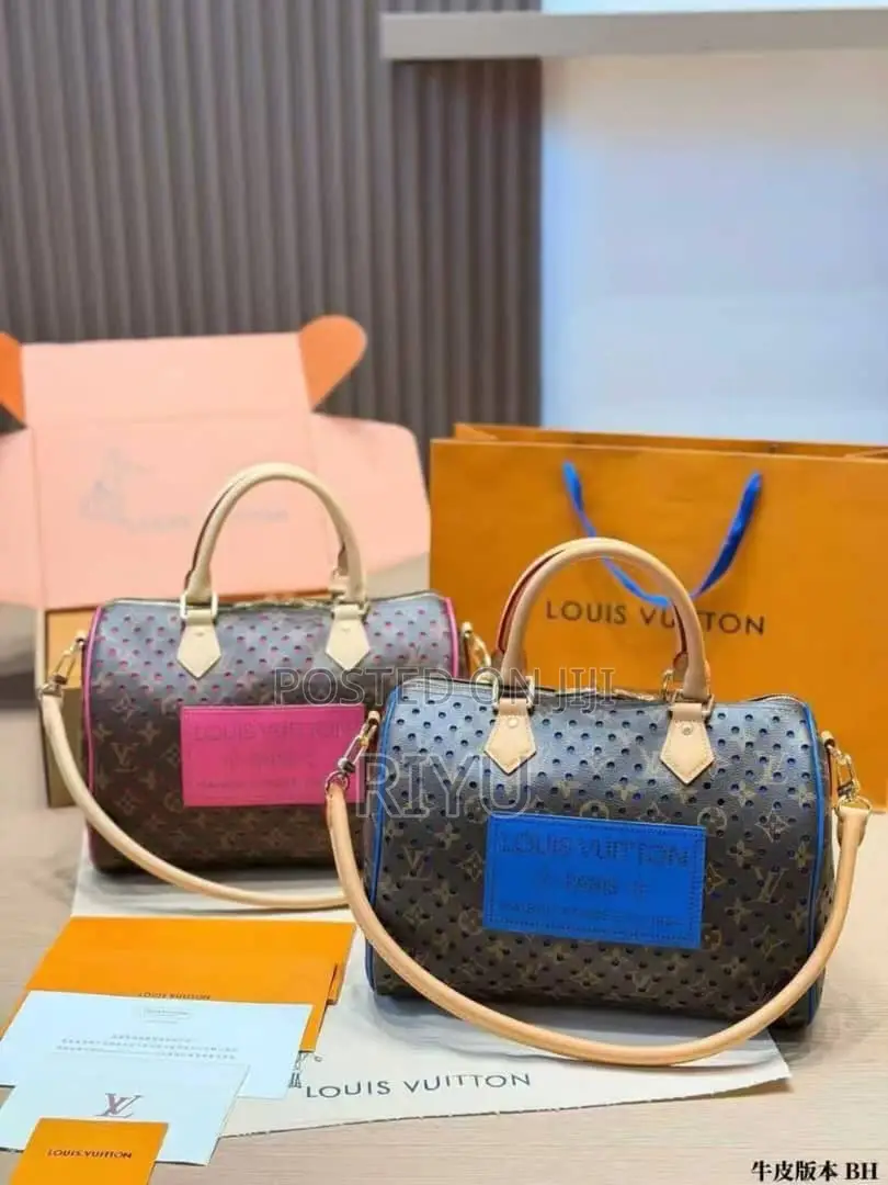 Classic Louis Vuitton Women’s Handbag